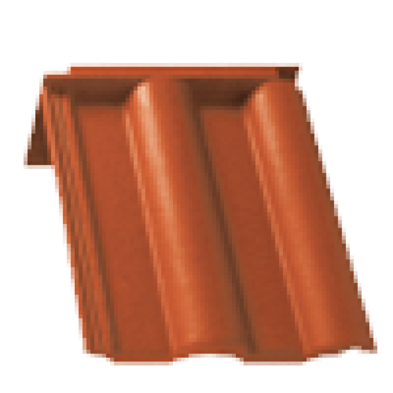 standard-extra--01