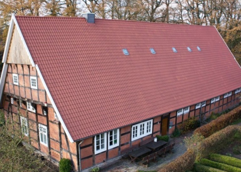 holenderka-3