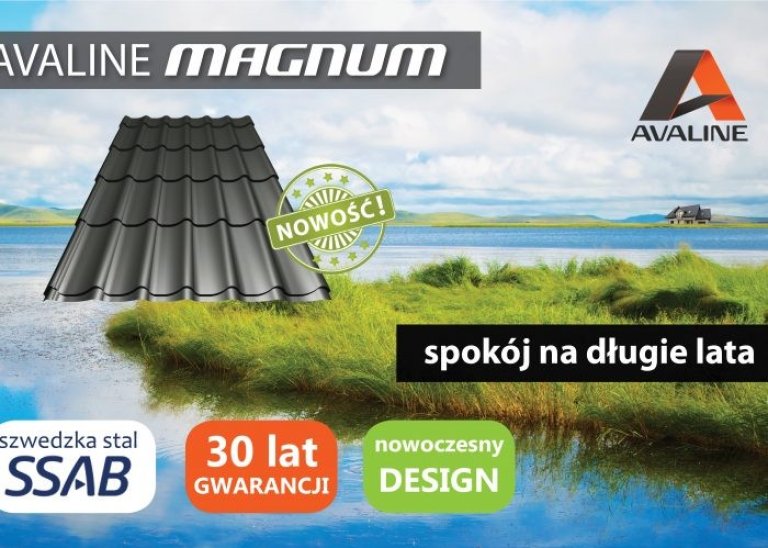 magnum-4