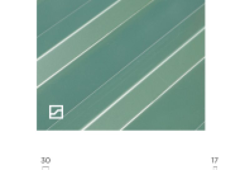 finish-trapezy-7